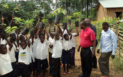 HPP Congo anerkjent for miljøarbeide